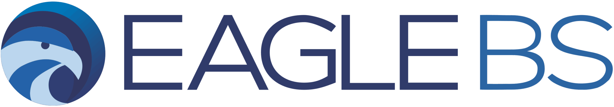 EAGLE BS LLC